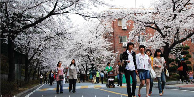 韩国留学奖学金详细介绍