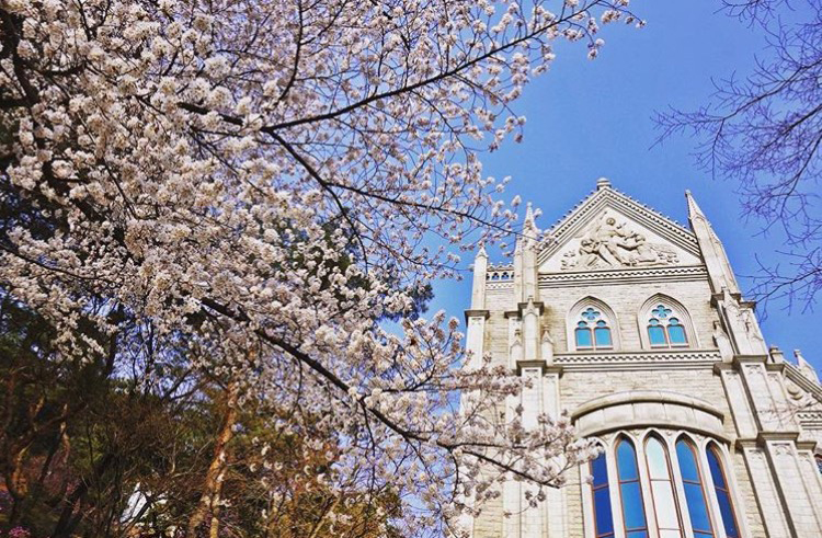 韩国留学 | 留学生如何获得韩国大学奖学金？