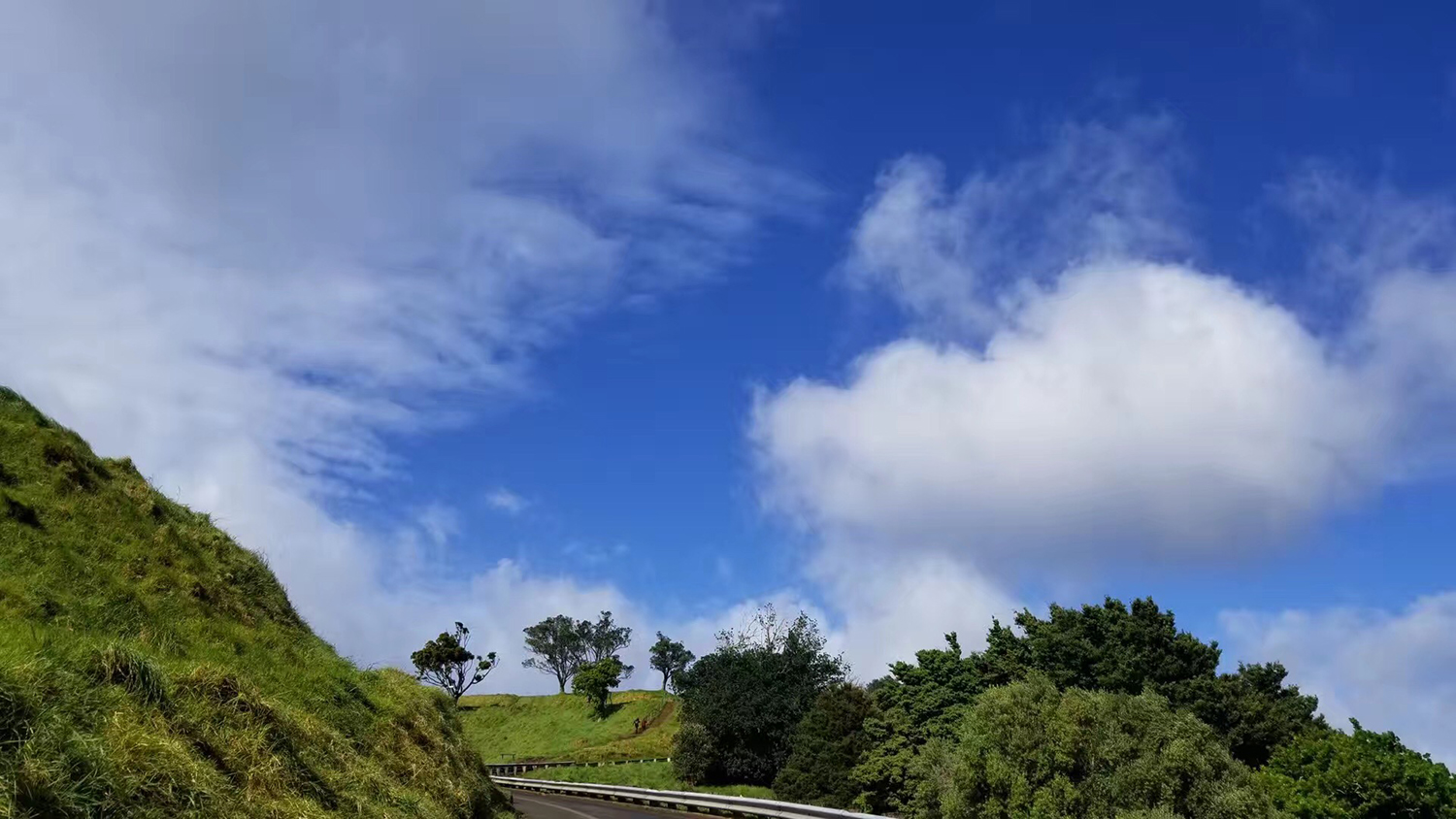 解析！澳大利亚房地产专业硕士