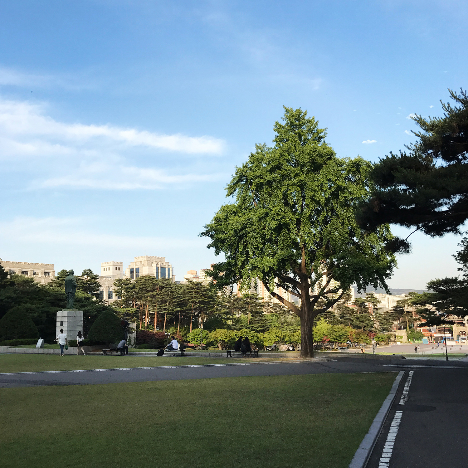 韩国留学｜启用新冠疫苗护照？韩国政策如何？