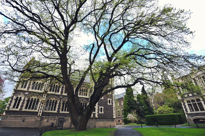 奥塔哥大学四大学院