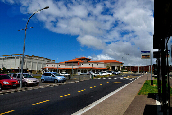 csc奖学金梅西大学