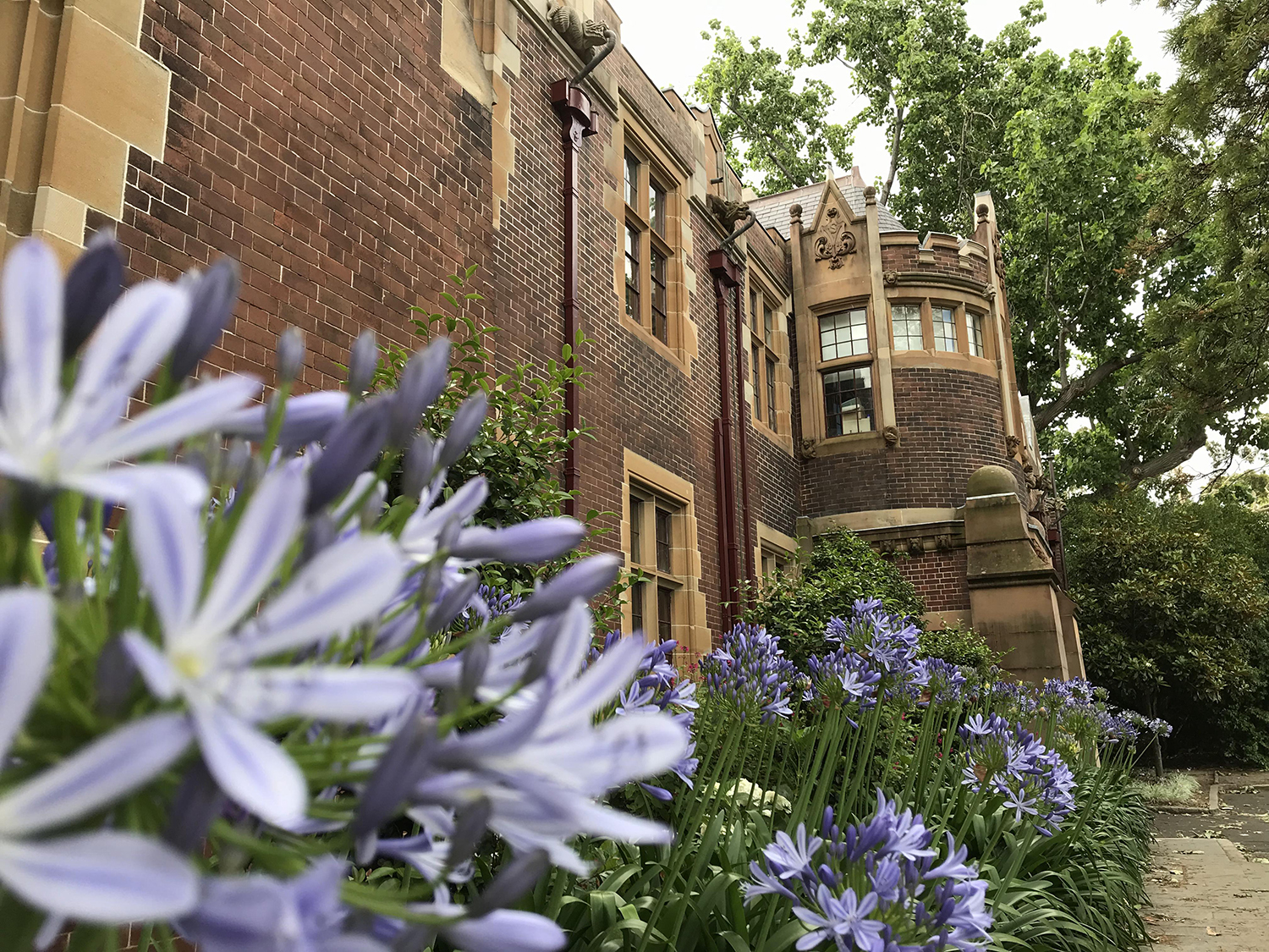 在澳洲留学一年，需要花多少钱？