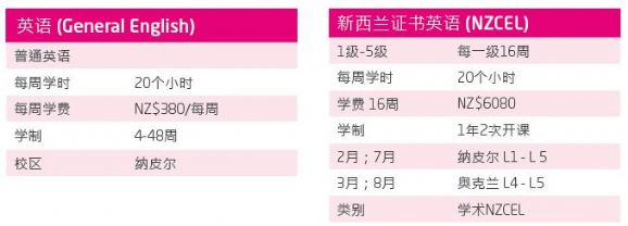 别错过了！东部理工学院2018年和2019年奖学金介绍