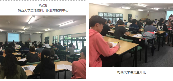 新西兰留学：梅西大学语言直升与预科录取标准