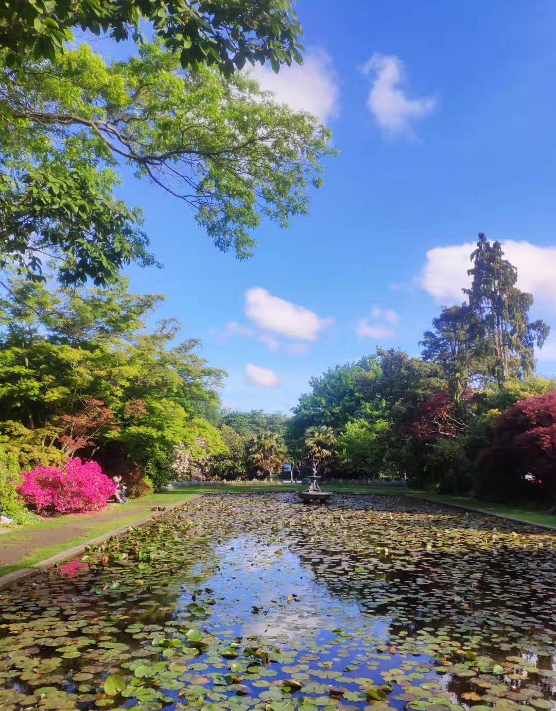 林肯大学